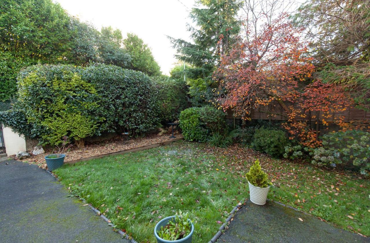 Bodwyn Country Cottage North Wales **By Seren Property** Dolgellau Luaran gambar